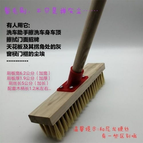 硬毛洗地刷子衛(wèi)生間地板刷廚房清潔刷家用地毯刷彩色絲尼龍鬃毛