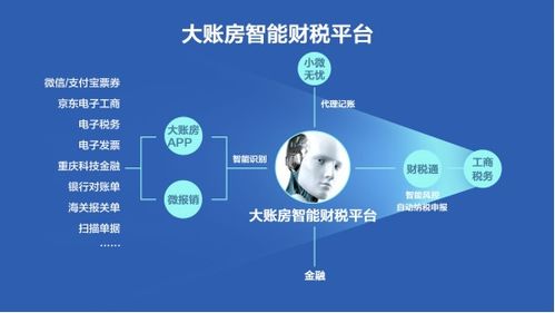 大賬房 以自動(dòng)化產(chǎn)品驅(qū)動(dòng)傳統(tǒng)代賬產(chǎn)業(yè)升級(jí)——財(cái)稅咨詢服務(wù)的新紀(jì)元